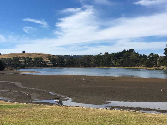 walking alongsied Alex River Inglis klein